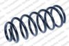 ROC CS8172 Coil Spring